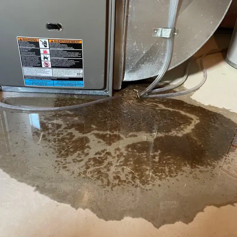 Appliance Leak Cleanup in Mountain Park, GA